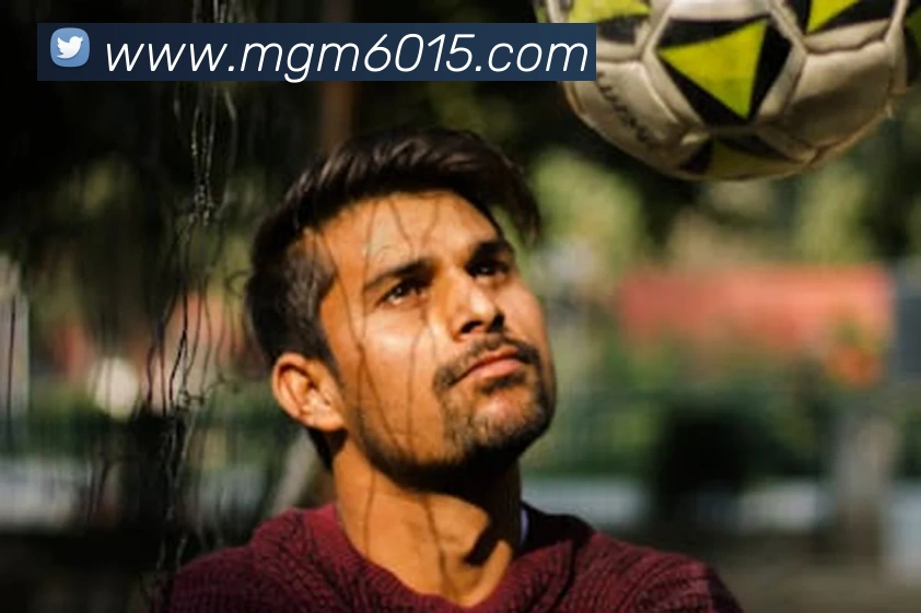 美高梅官网首页平台生态图